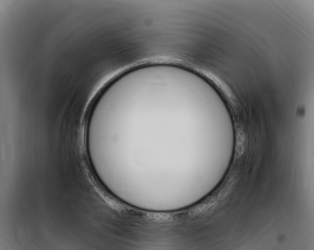 X0000100850886200806200759