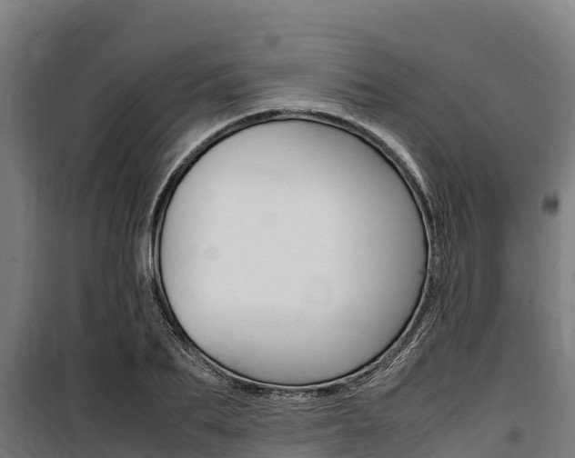 X0000100850887200806200759