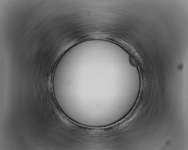 X0000100850889200806200759