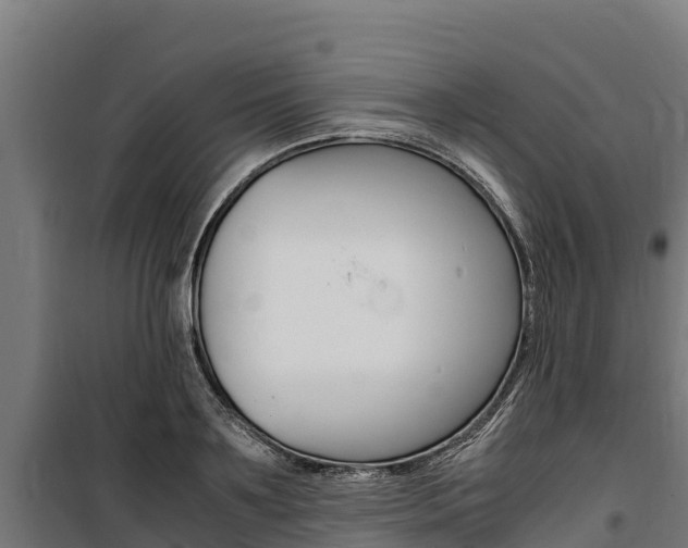 X0000100850891200806200759