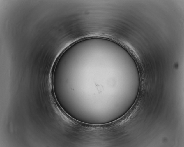 X0000100850892200806200759