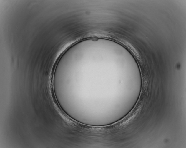 X0000100850893200806200759