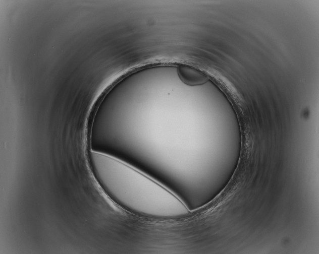 X0000100850894200806200759