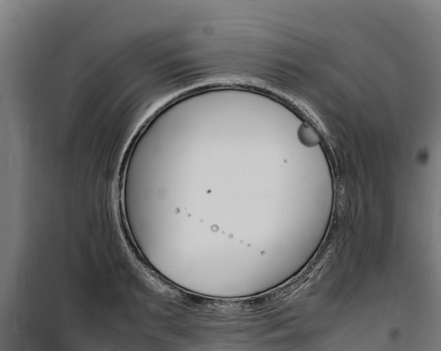 X0000100850895200806200759