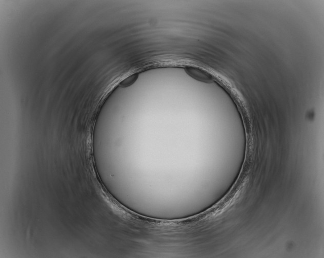 X0000100850897200806200759