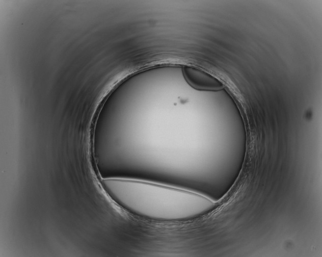 X0000100850898200806200759