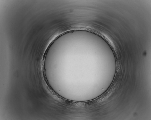 X0000100850899200806200759