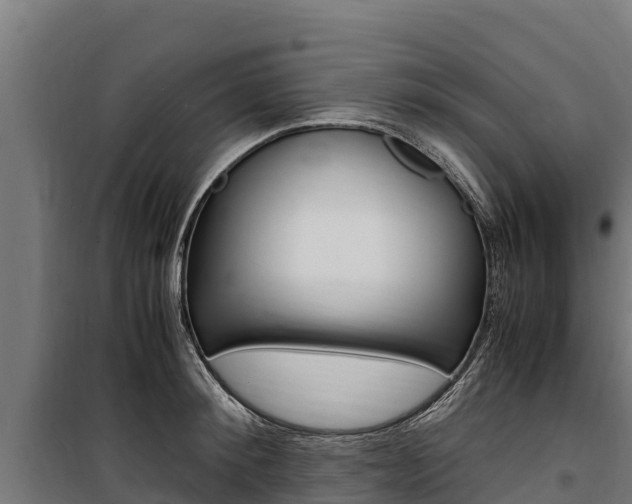 X0000100850900200806200759