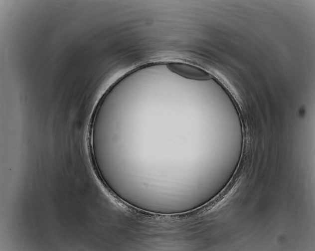 X0000100850901200806200759
