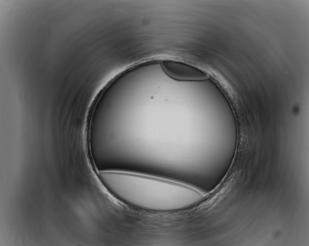 X0000100850902200806200759