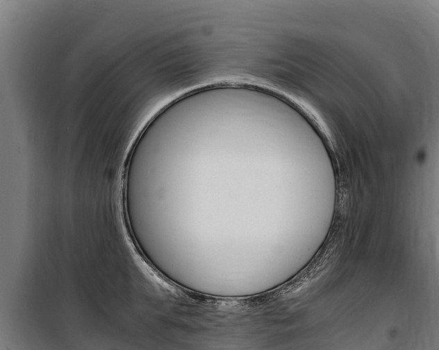 X0000100850903200806200759