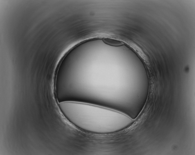 X0000100850904200806200759