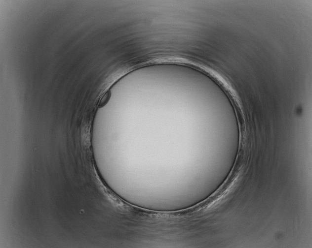 X0000100850905200806200759