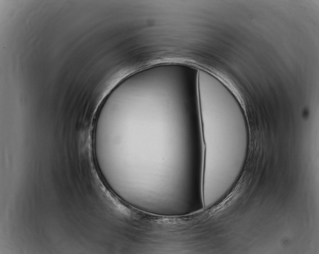 X0000100850906200806200759