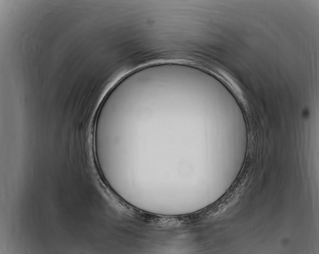X0000100850907200806200759