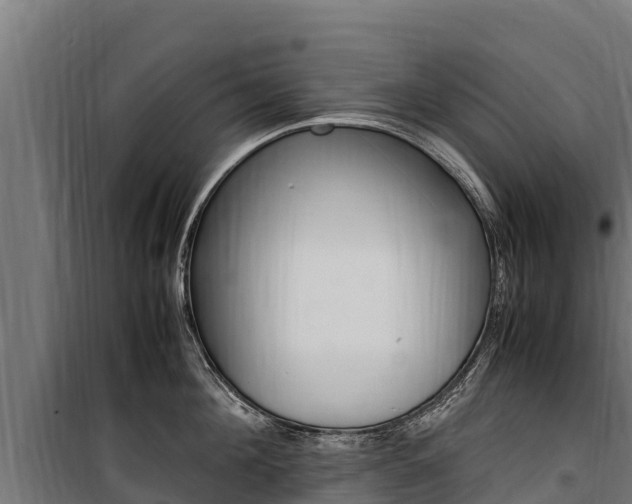 X0000100850908200806200759