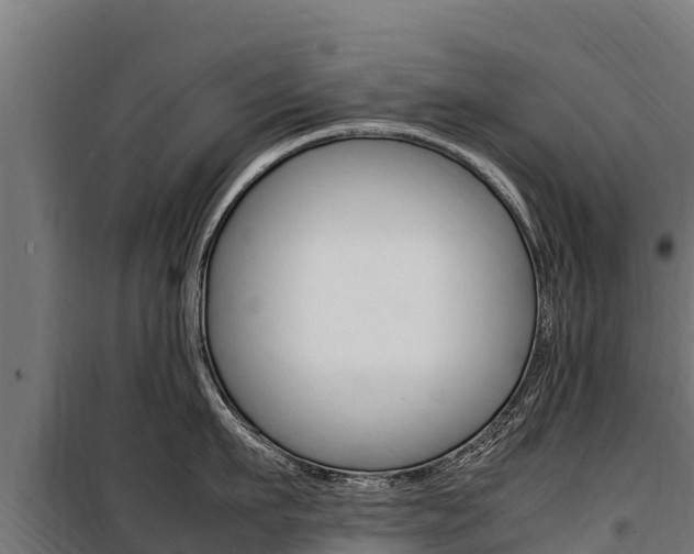 X0000100850911200806200759