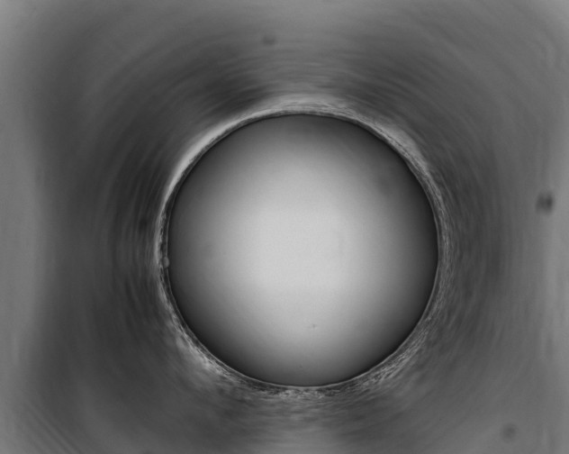 X0000100850912200806200759