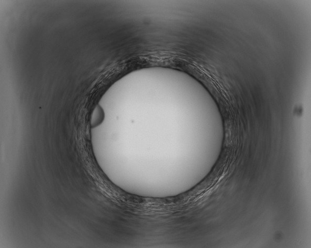 X0000100850913200806200758