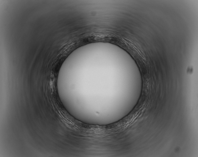 X0000100850914200806200758