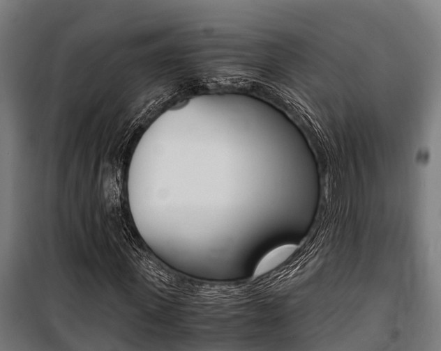 X0000100850915200806200758