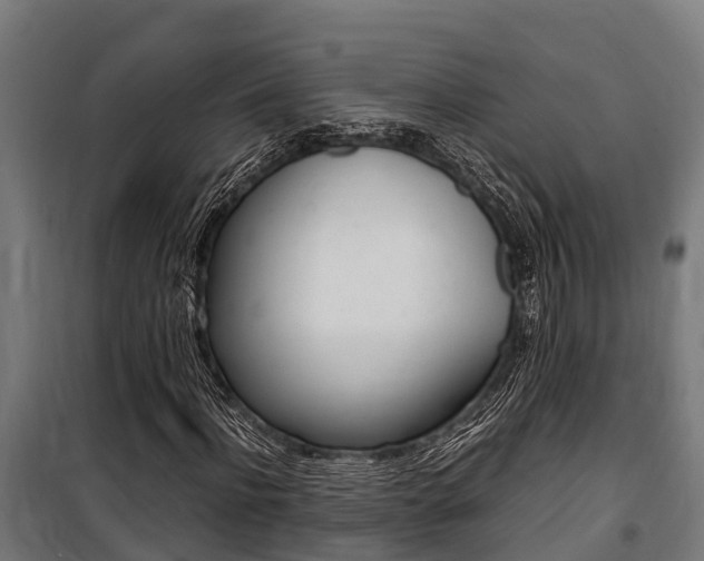 X0000100850916200806200758