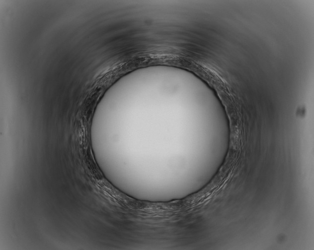 X0000100850917200806200758
