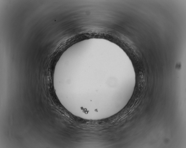 X0000100850918200806200758