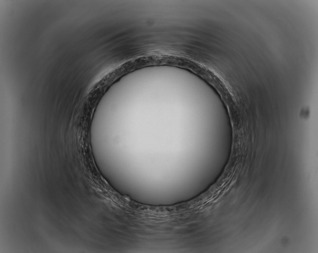 X0000100850919200806200758