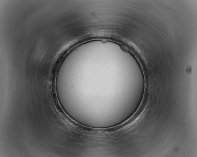 X0000100850922200806200758