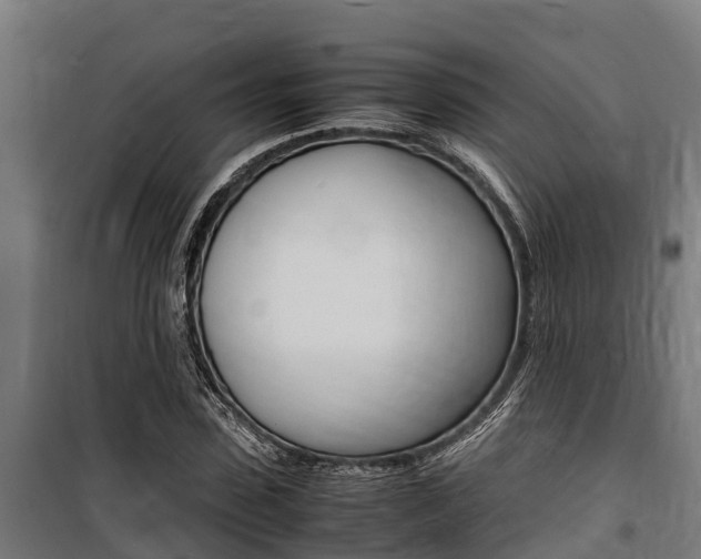 X0000100850923200806200758