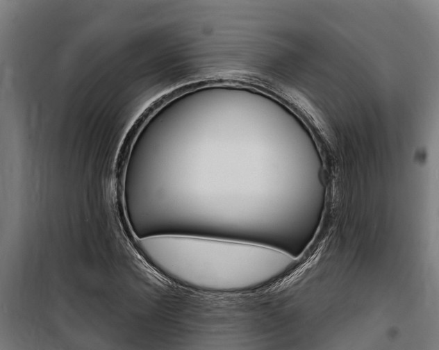 X0000100850924200806200758