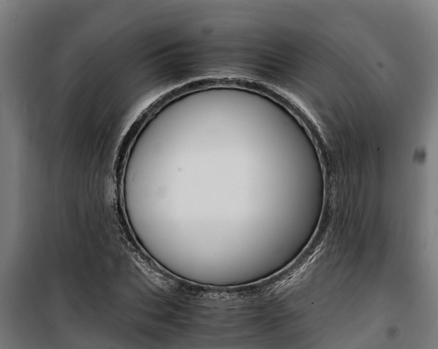 X0000100850927200806200758