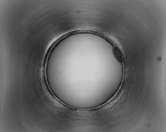 X0000100850928200806200758