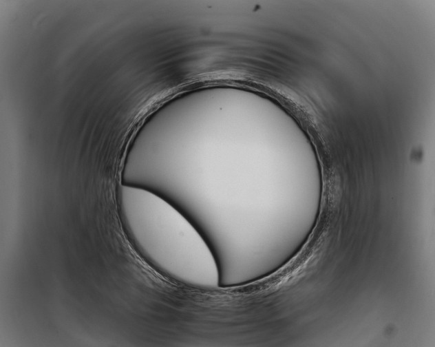 X0000100850929200806200758