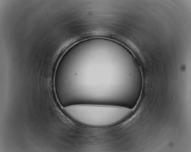 X0000100850930200806200758