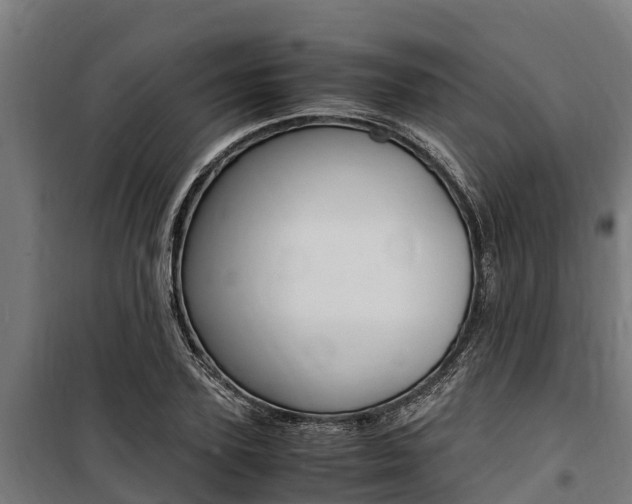 X0000100850931200806200758
