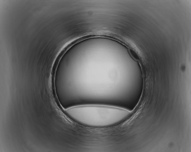 X0000100850932200806200758