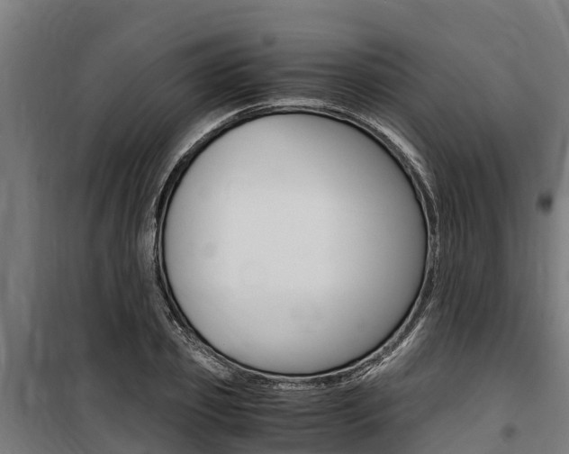 X0000100850933200806200758