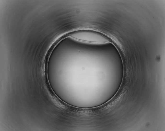 X0000100850934200806200758