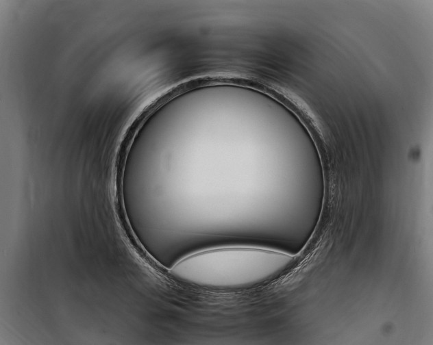 X0000100850935200806200758