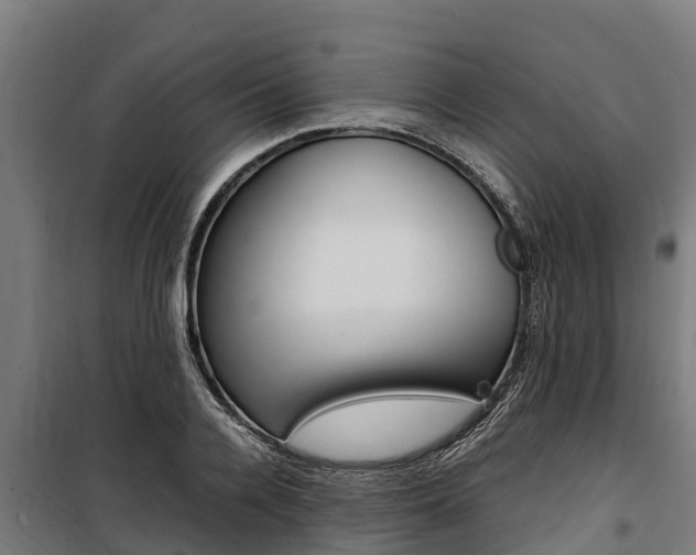 X0000100850936200806200758