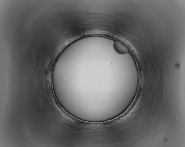 X0000100850937200806200758