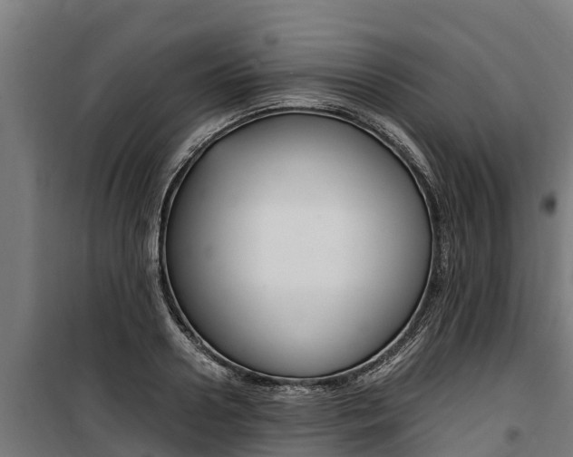 X0000100850938200806200758