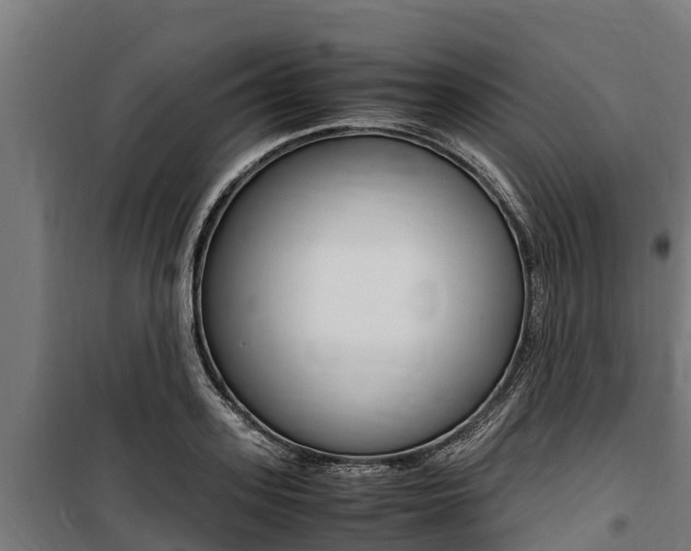 X0000100850939200806200758