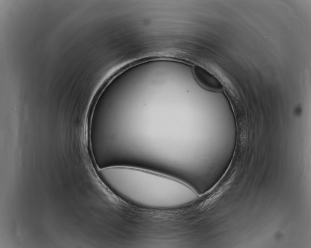 X0000100850940200806200758