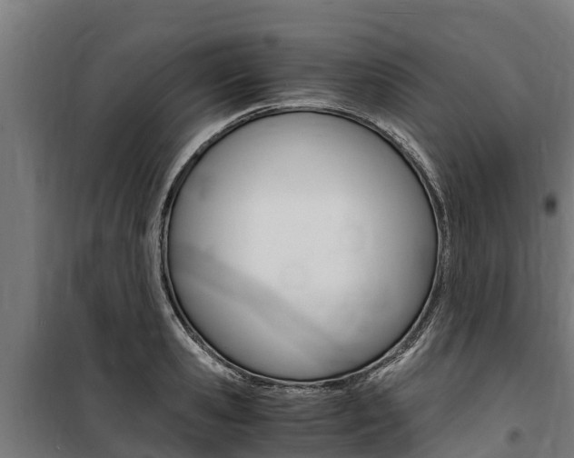 X0000100850941200806200758