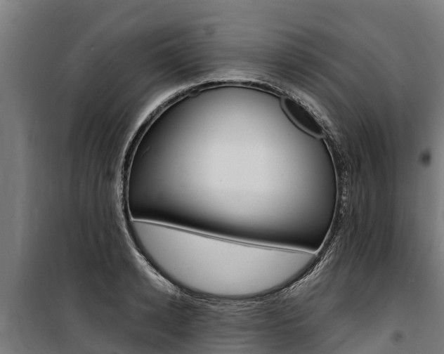 X0000100850942200806200758