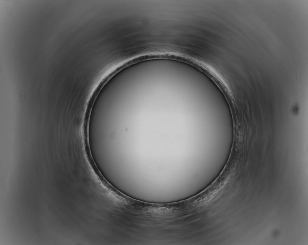 X0000100850943200806200758