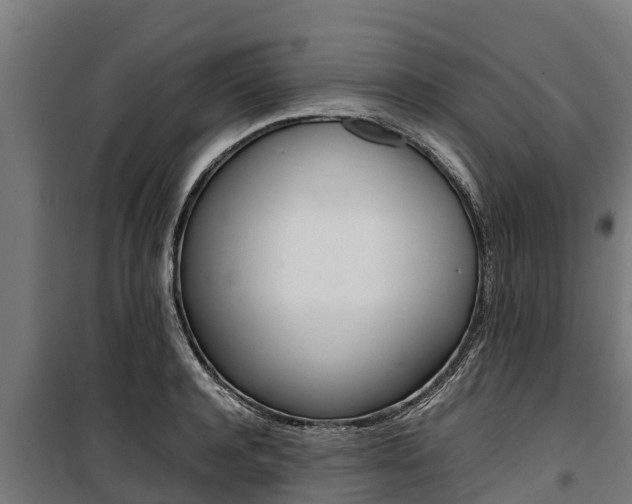 X0000100850944200806200758